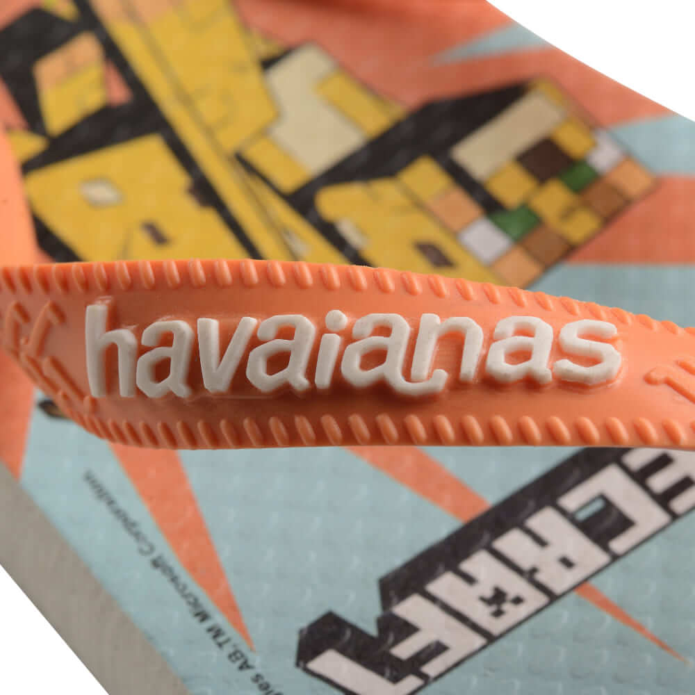 Havaianas box on sale