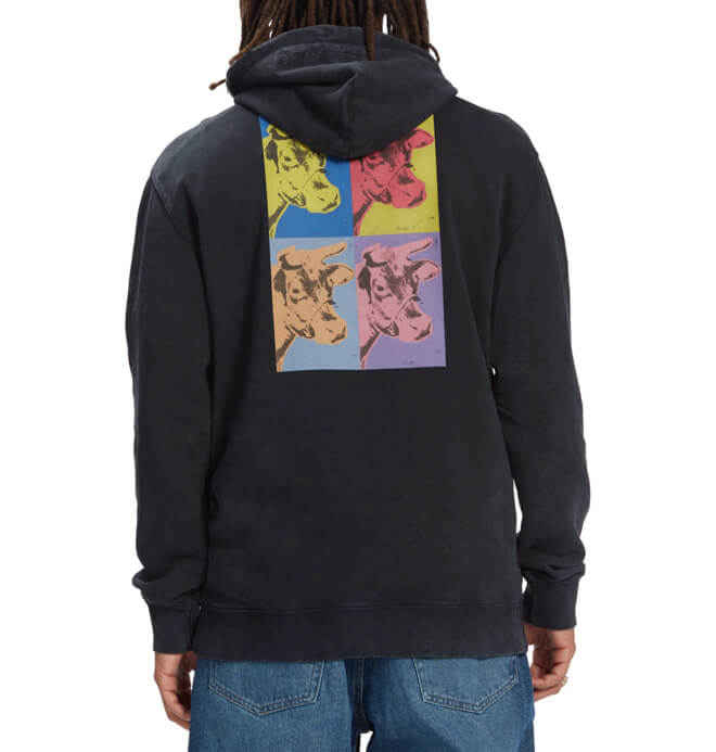 Polera para Hombre DC SHOES HOOD AW COW PH BAC