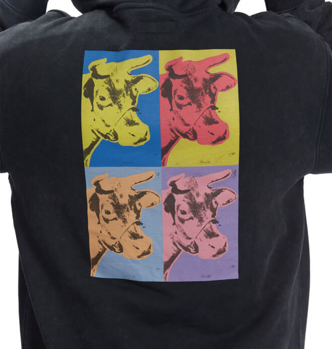 Polera para Hombre DC SHOES HOOD AW COW PH BAC
