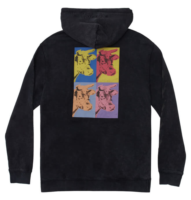 Polera para Hombre DC SHOES HOOD AW COW PH BAC