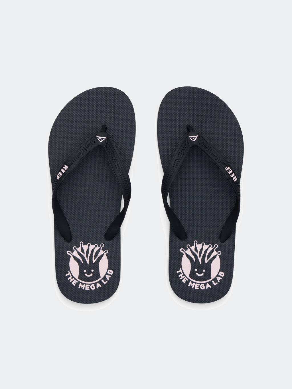 Sandalias para Hombre REEF REEF SEASIDE COR