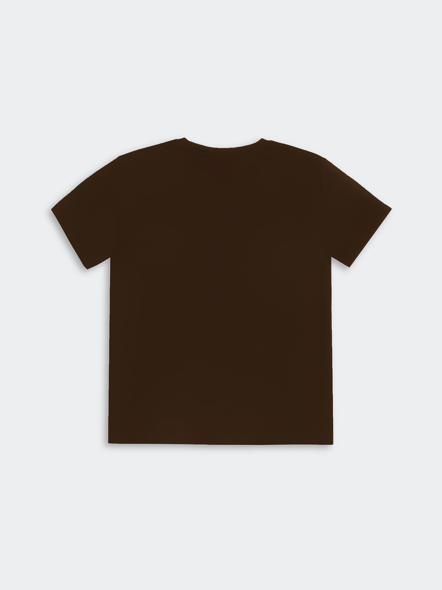 Polo para Mujer DVK PIMA CREW TEE Marrón