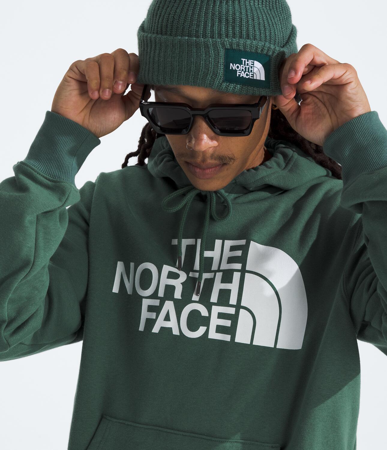 Polera para Hombre THE NORTH FACE M HALF DOME PULLOVER HOODIE Verde
