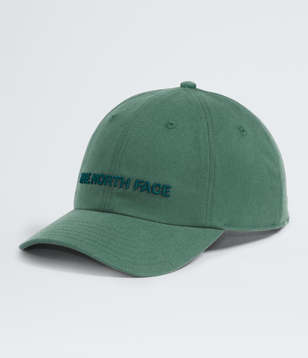 Gorra para Hombre THE NORTH FACE ROOMY NORM HAT Verde