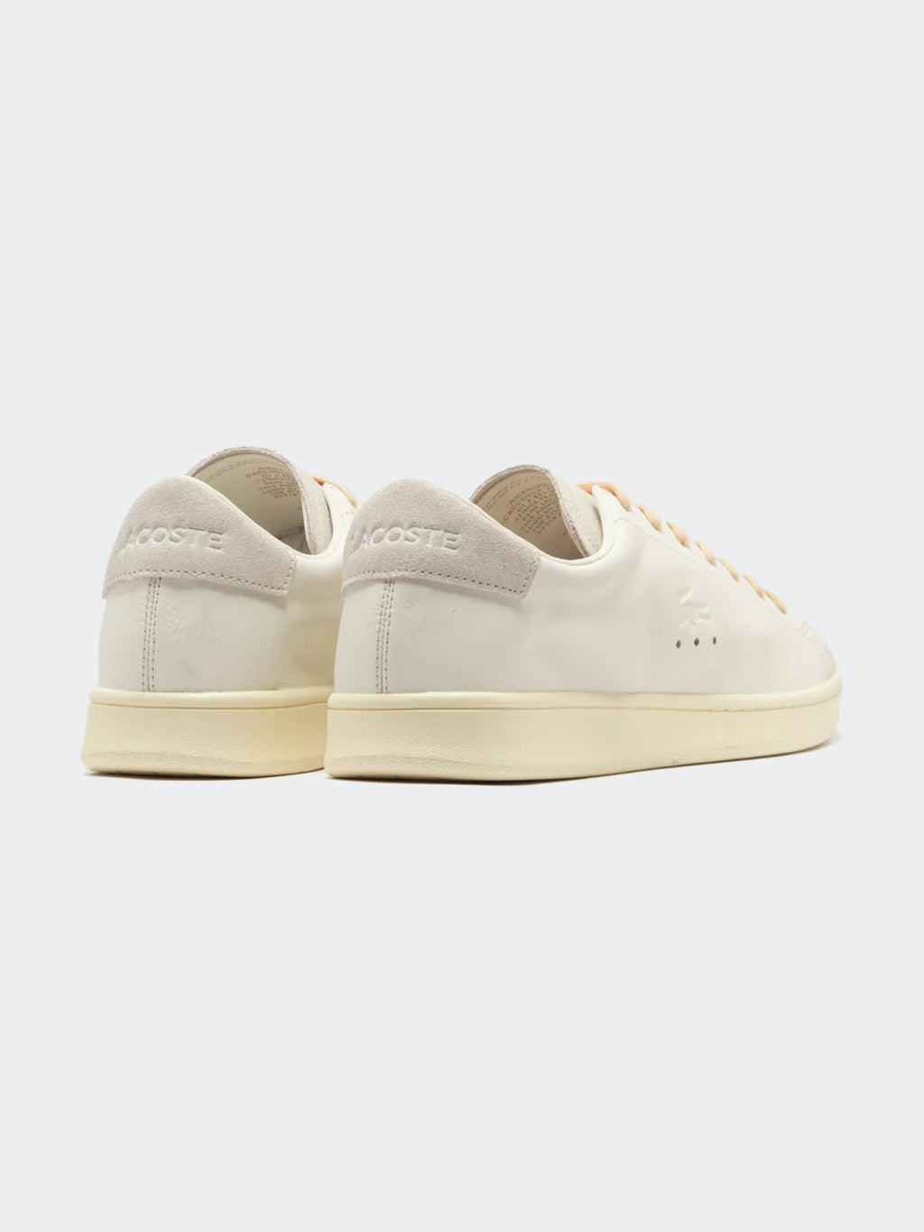 Zapatillas para Hombre LACOSTE  Blanco CARNABY