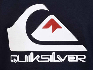 Polera para Niño QUIKSILVER CREW NECK BIG LOGO CREW BYJ0